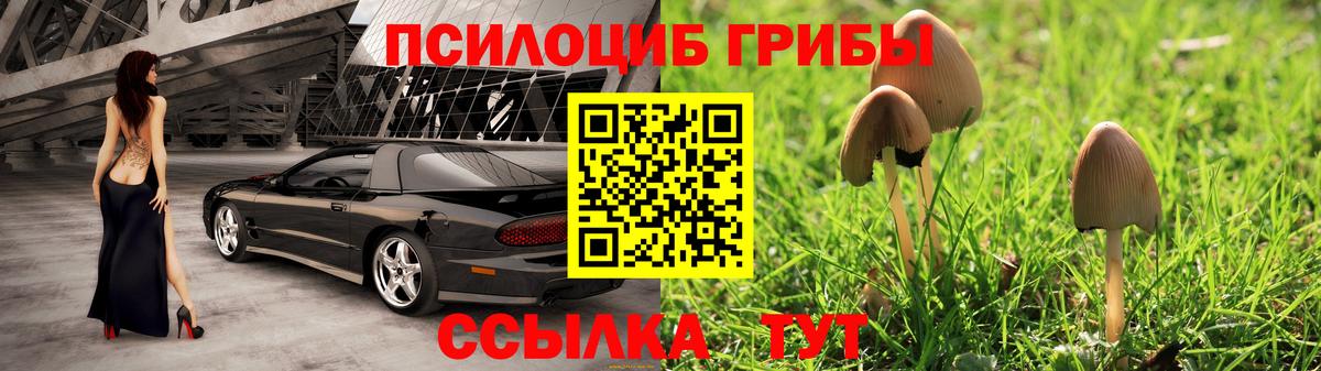 Псилоцибиновые грибы ЛСД Лабытнанги